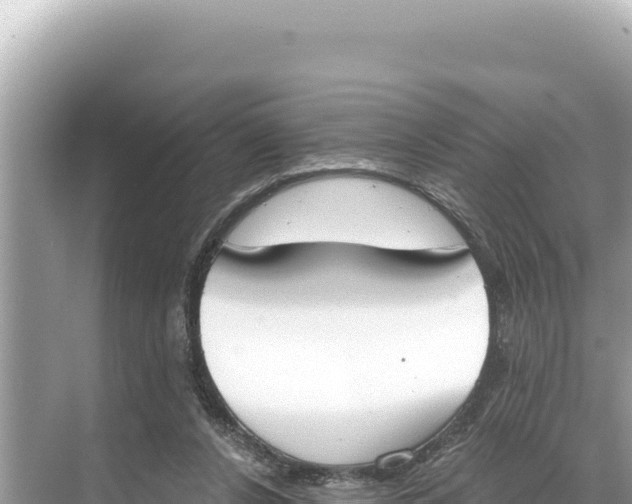 X0000068260256200605051756