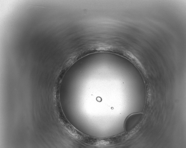 X0000068260257200605051756