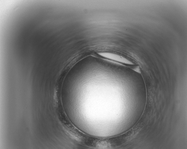 X0000068260258200605051756