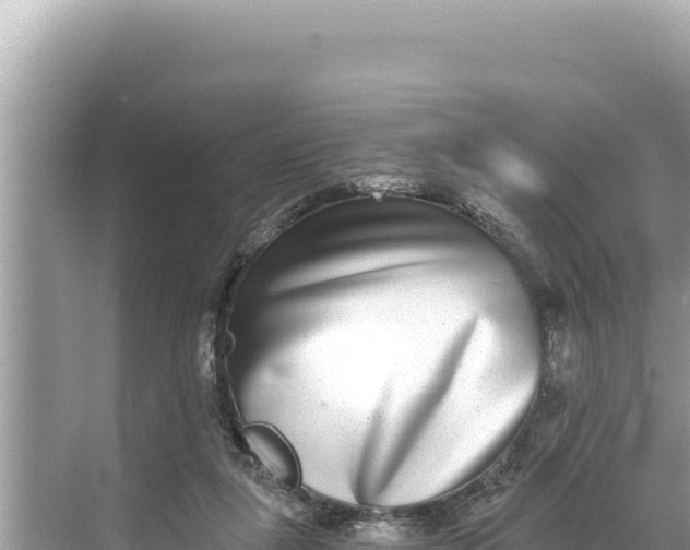 X0000068260259200605051756