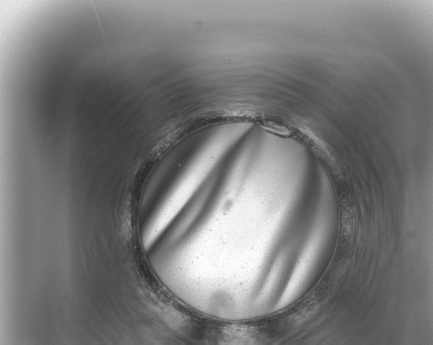 X0000068260261200605051756