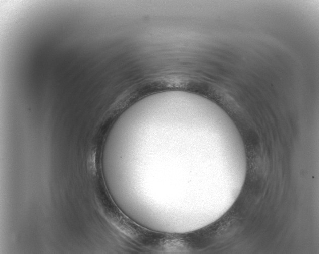 X0000068260262200605051756