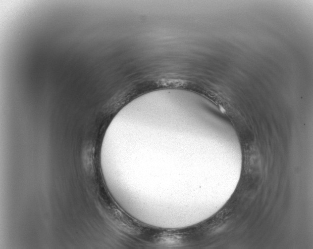 X0000068260263200605051757