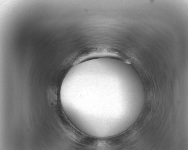 X0000068260264200605051757