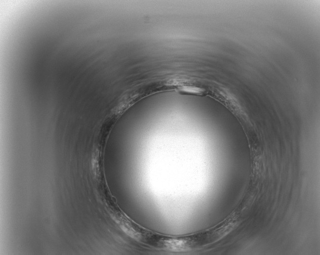 X0000068260265200605051757