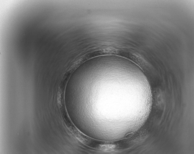 X0000068260266200605051757