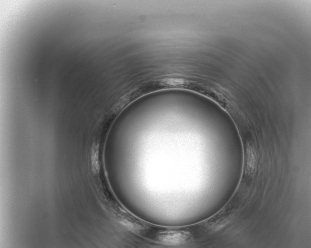 X0000068260267200605051757