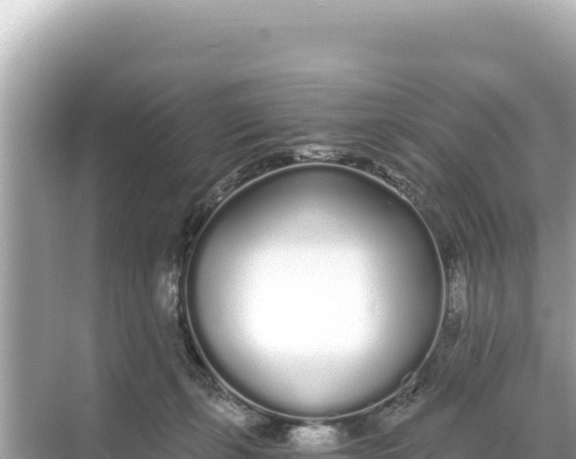 X0000068260271200605051757