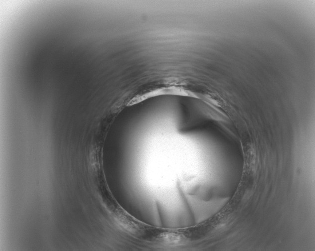 X0000068260272200605051757