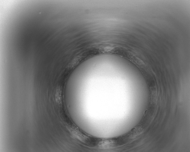 X0000068260274200605051757