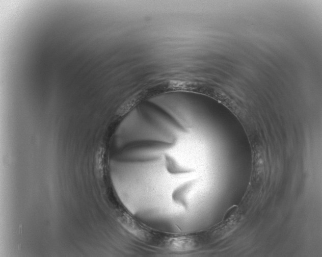 X0000068260275200605051757