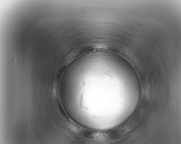 X0000068260277200605051757