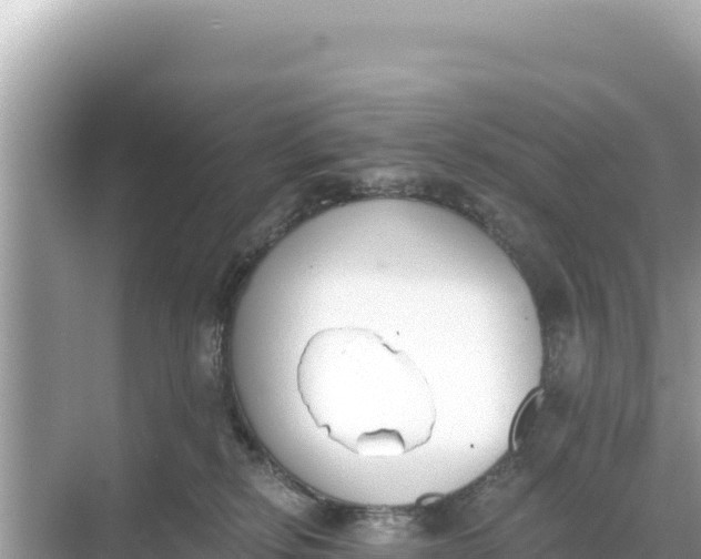 X0000068260278200605051757