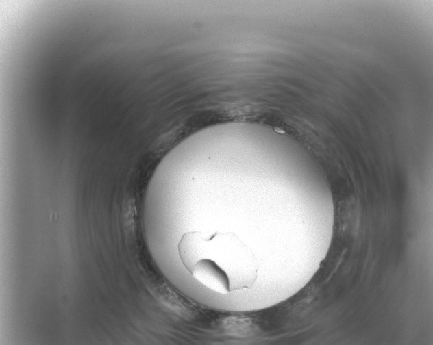 X0000068260279200605051757