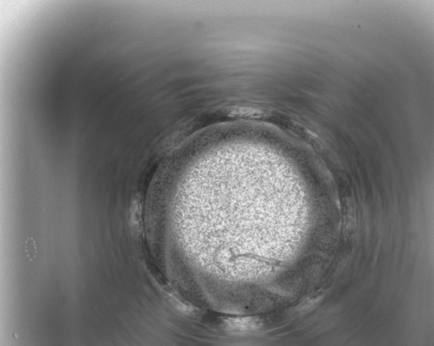 X0000068260281200605051757