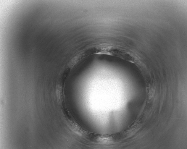 X0000068260283200605051757