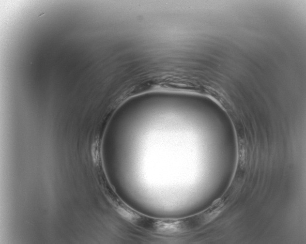 X0000068260285200605051757