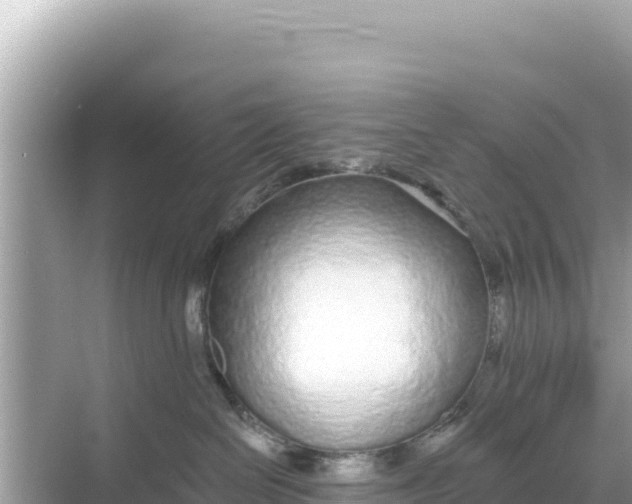 X0000068260286200605051757