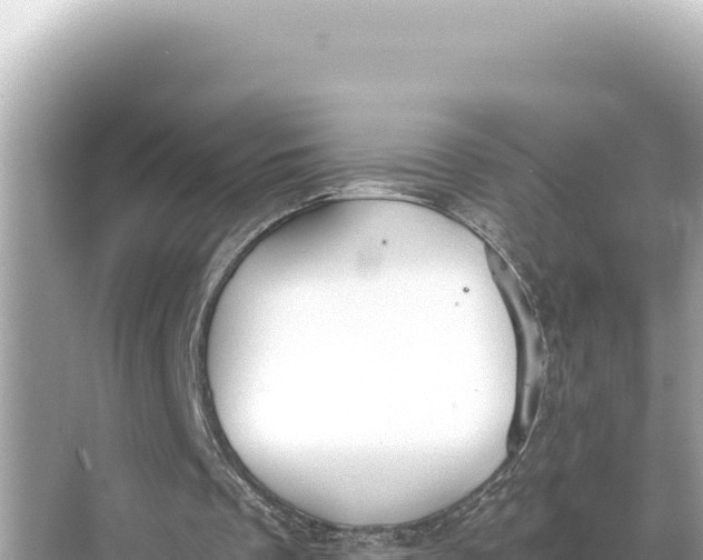 X0000068260289200605051756