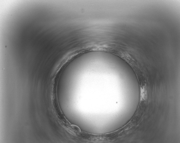 X0000068260291200605051756