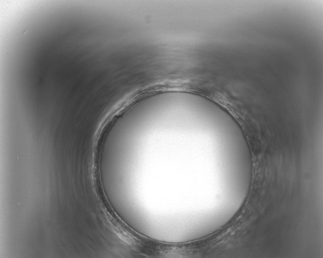 X0000068260293200605051756