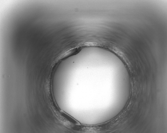 X0000068260297200605051756