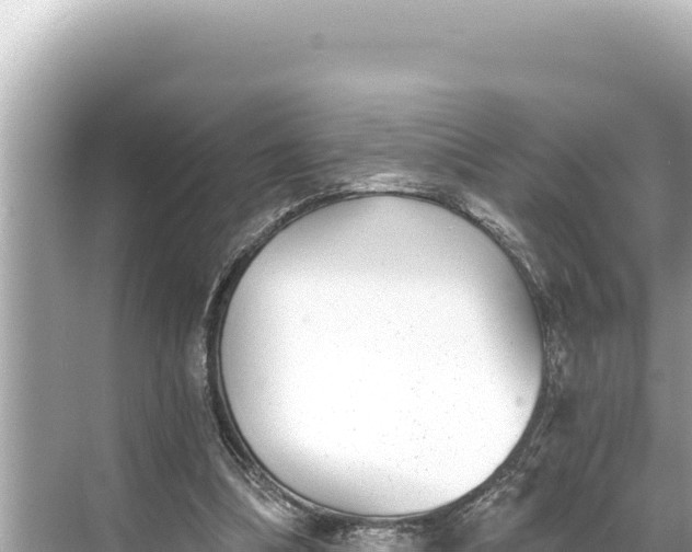 X0000068260298200605051756