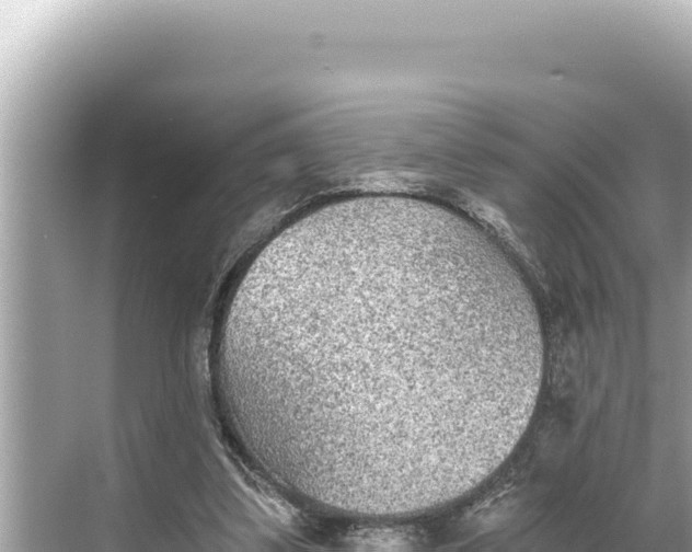 X0000068260299200605051756