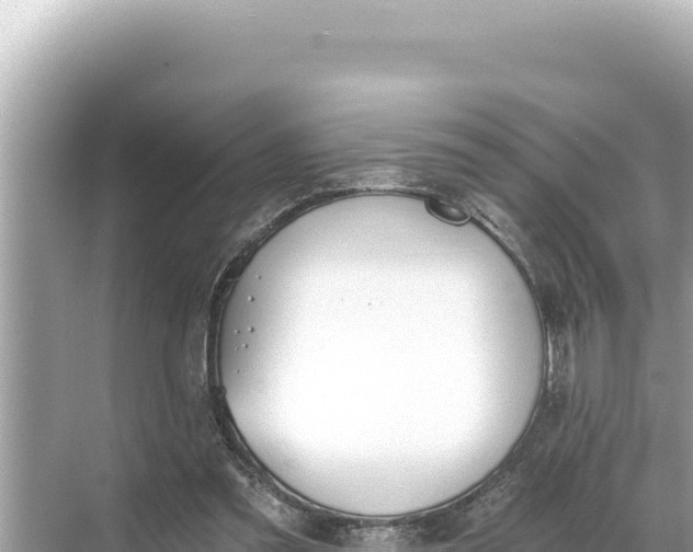 X0000068260301200605051756