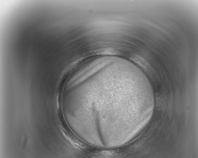 X0000068260302200605051756