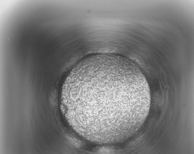 X0000068260303200605051756