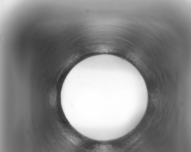 X0000068260304200605051756