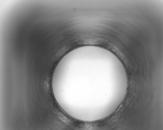 X0000068260305200605051756