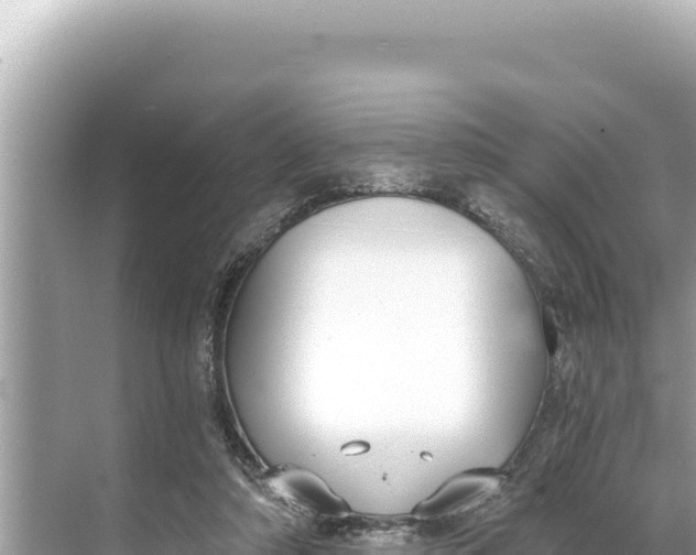 X0000068260306200605051756