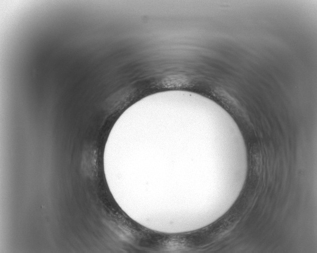 X0000068260308200605051756