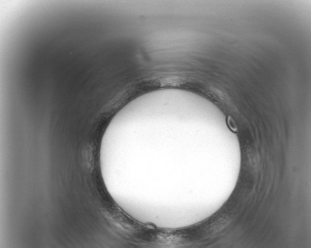 X0000068260311200605051756