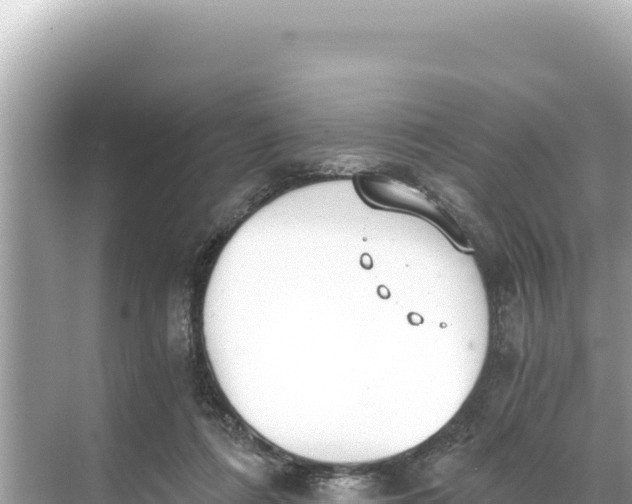 X0000068260312200605051756