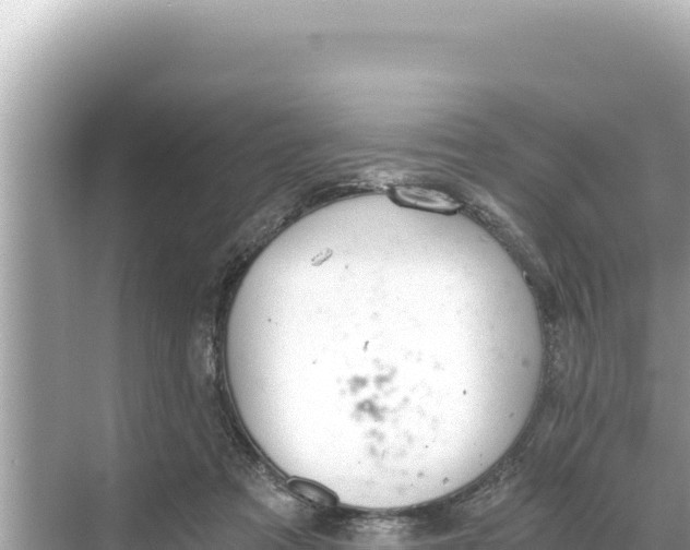 X0000068260313200605051756