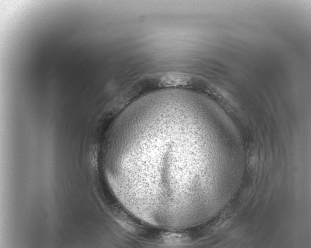 X0000068260315200605051756