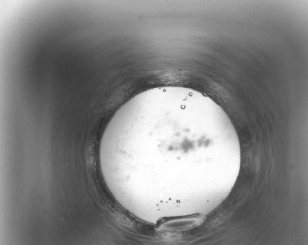 X0000068260317200605051756