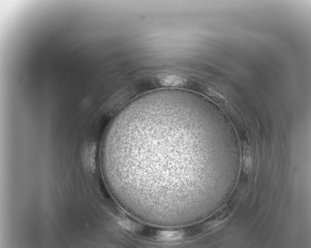 X0000068260319200605051756