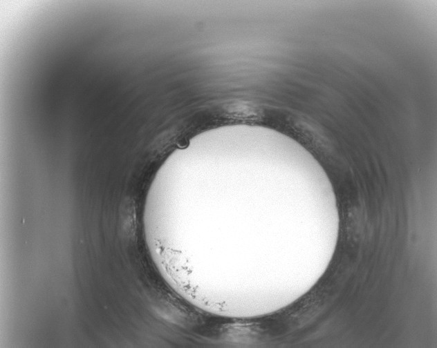 X0000068260320200605051756