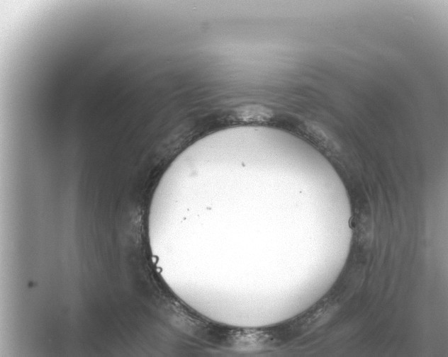 X0000068260321200605051756