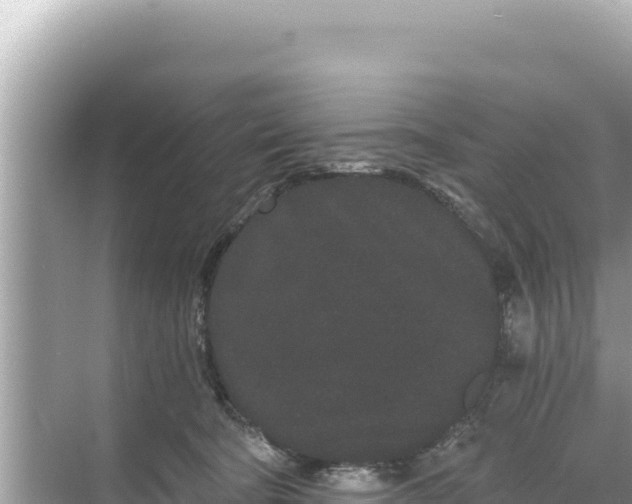 X0000068260322200605051756