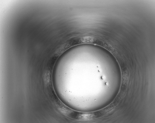 X0000068260323200605051756