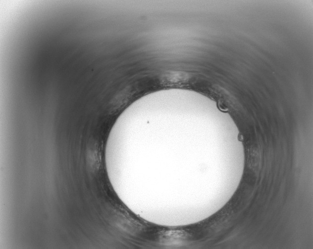 X0000068260324200605051756