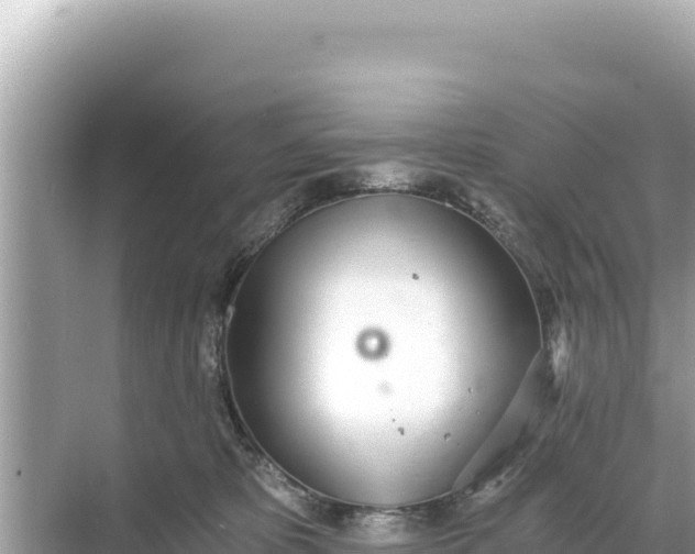 X0000068260325200605051756