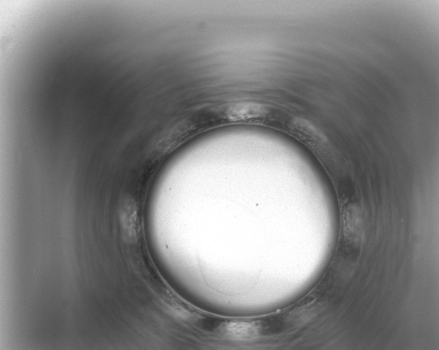 X0000068260327200605051755