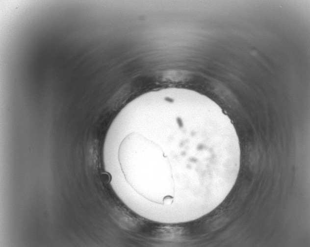 X0000068260328200605051755