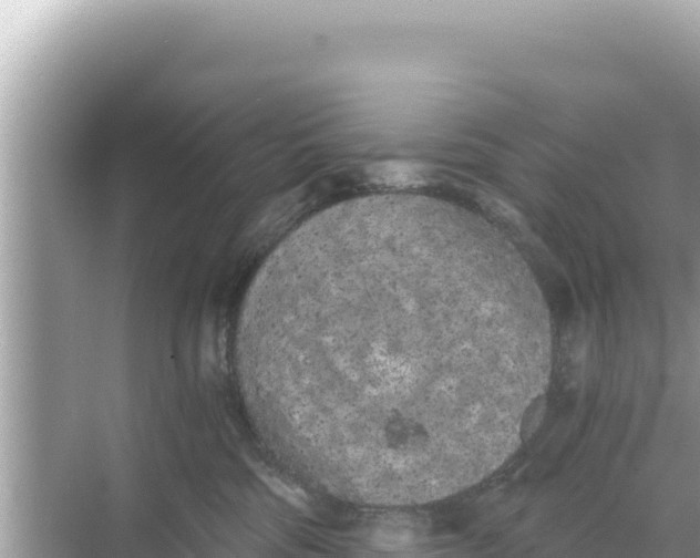 X0000068260330200605051755